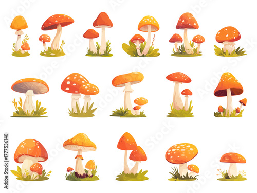 Set of various cartoon mushrooms in the forest, different shapes and types, in grass and flowers, vector illustration