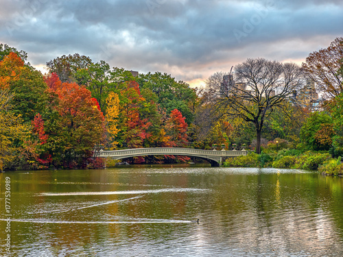 Bow bridge view in autumn at lake