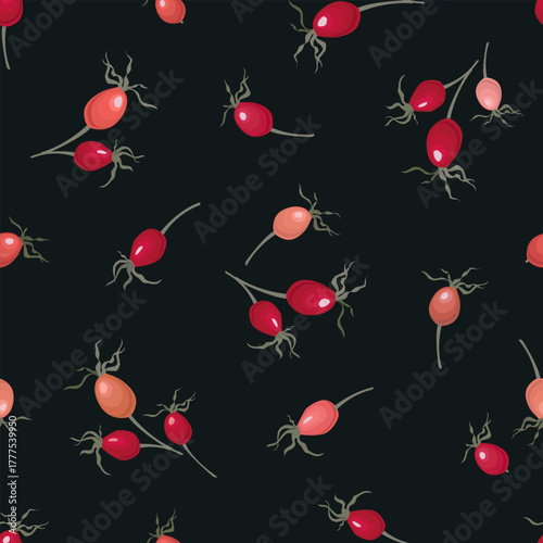 Red-orange dog rose hips isolated on dark background. Seamless vector pattern