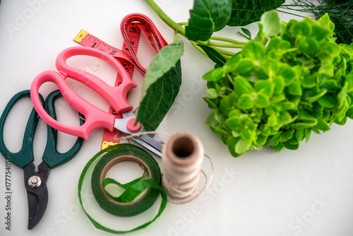 Florist tools with green hydrangea and floral supplies