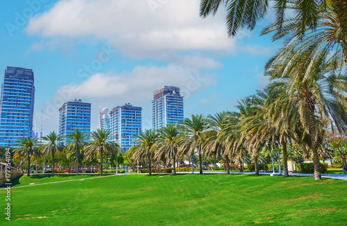 Glass towers behind Zabeel Park, Dubai, UAE