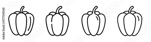 Outline bell pepper drawing vector illustration, healthy food, fresh vegetable, simple clip art
