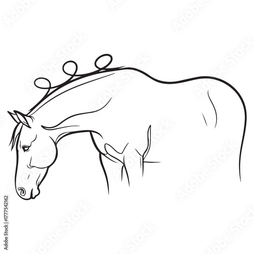  Horse head with bridle line art, elegant equine portrait for ranch and equestrian themes, monochrome vector