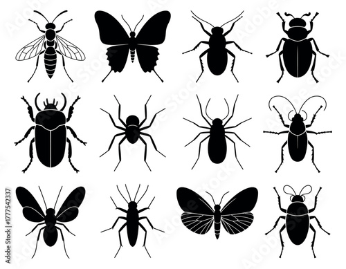 Black Silhouettes of Insects and Bugs. Beetles, Butterflies, and Dragonflies Black And White