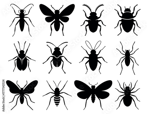 Bugs, Beetles, Butterflies, and Flying Insects Silhouette