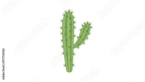 A cartoon illustration of a green saguaro cactus with sharp spines