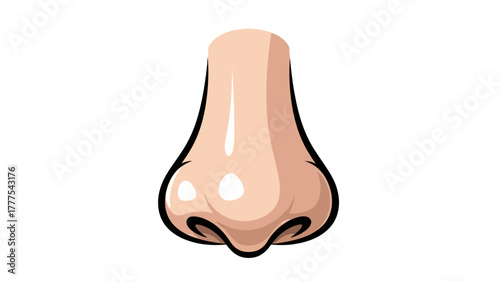 A cartoon illustration of a human nose