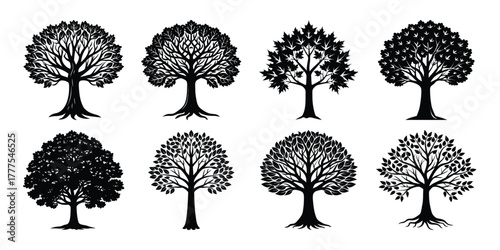 Collection of eight detailed black silhouette deciduous trees with intricate branches and roots on a white background