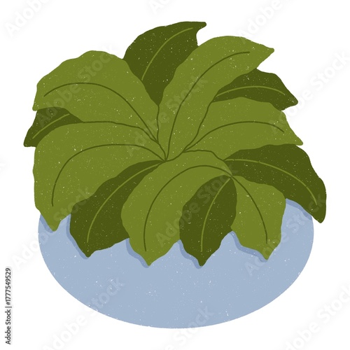 Isolate blue houseplant and green leaves digital sticker on white background.