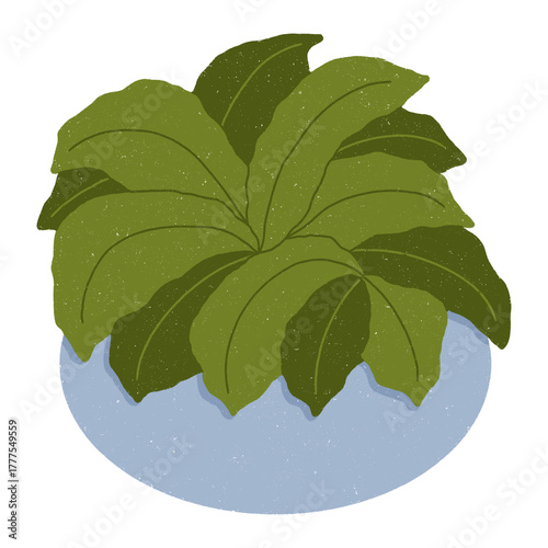 Isolate blue houseplant and green leaves digital sticker on transparent background.