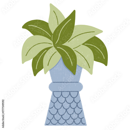 Isolate house plant with green leaves digital sticker or icon on transparent background.