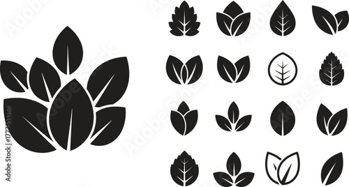 Leaf icons set ecology nature element, green leafs, environment and nature eco sign. Leaves on white background