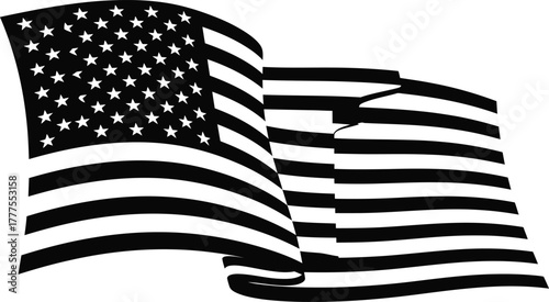 United States of America flag. The correct proportions and color