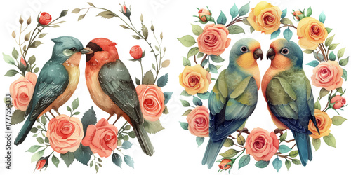 romantic couple birds with roses wreath watercolor vector illustration