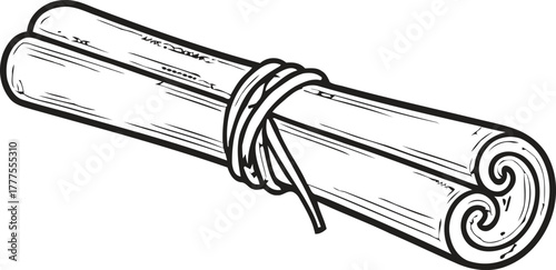 Cinnamon sticks tied with string, doodle drawing isolated on white background.