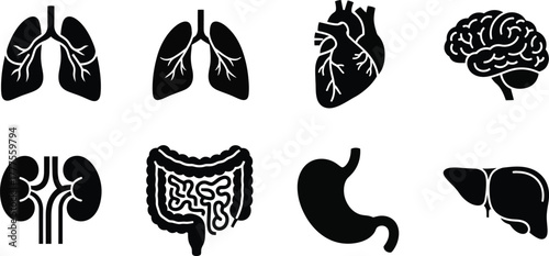 human internal organs icons set with lungs, kidneys, stomach, intestines, brain, heart, spleen and liver, skin, artery, blood, etc., 