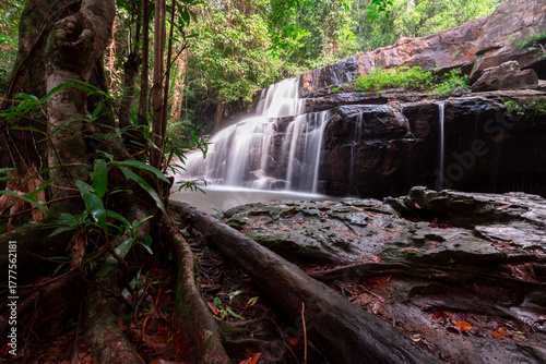 Serene Cascade: A captivating view showcases a mesmerizing waterfall flowing gracefully over textured rocks, embraced by the lush greenery of the surrounding jungle. 