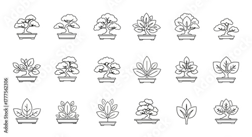 A collection of various bonsai trees and leaf illustrations in line art.
