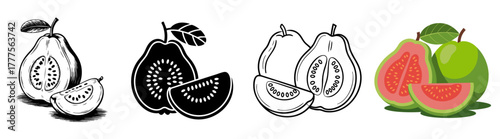 guava fruit and slice icon set with color, vintage, silhouette and engraving design, vector illustrations for tropical food and fresh juice
