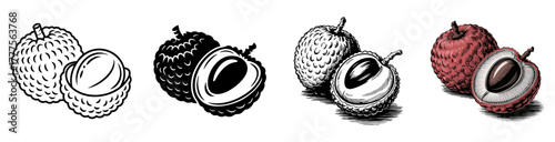 lychee fruit set with color, vintage, silhouette and engraving design, vector illustrations for tropical food and exotic dessert