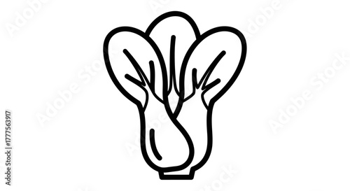 Simple black and white illustration of a fresh, leafy bok choy vegetable.