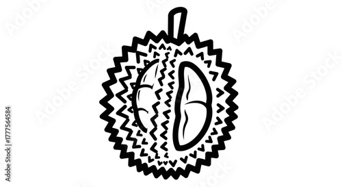 A black and white illustration of a durian fruit, split open, showing the inside.