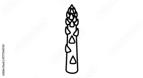 Simple black and white line drawing of a single asparagus spear.