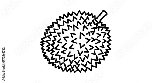 A simple, black and white line drawing of a durian fruit with its spiky exterior and stem.