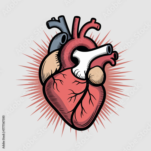 Human Heart Illustration with Radiant Design for Chest Pain Awareness