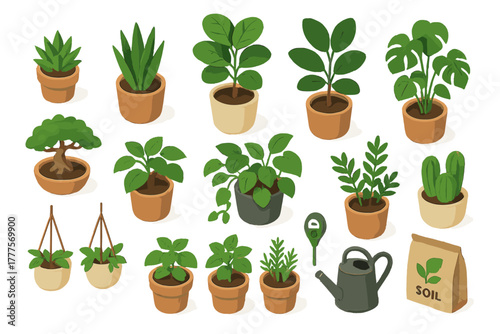 Assortment of green potted houseplants and essential home gardening accessories