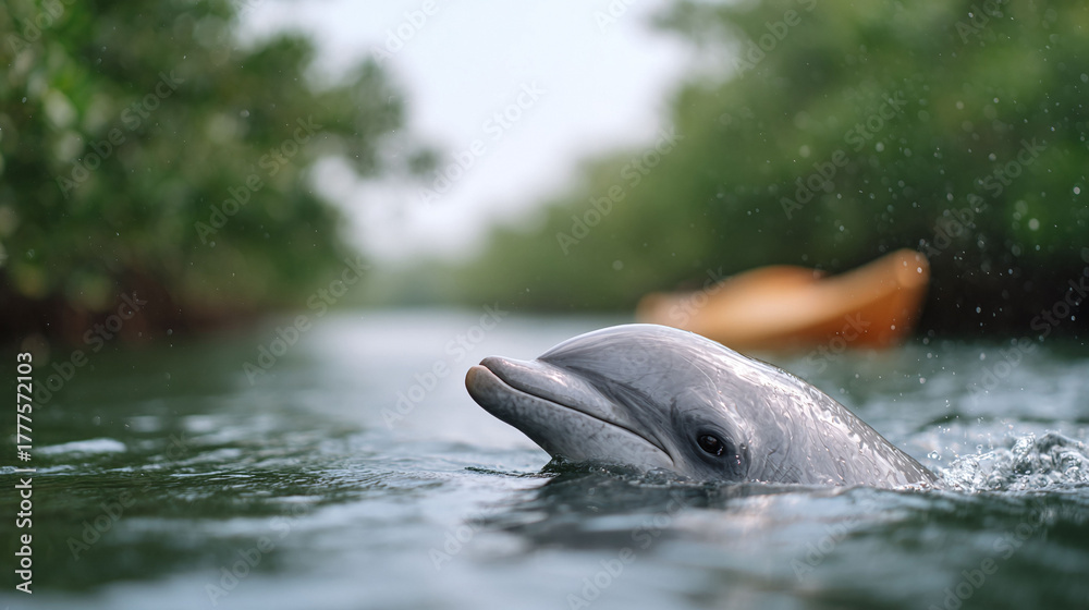 Fototapeta premium A serene image showcasing a dolphins head emerging from water. The calm canal, kayak, lush trees suggest adventure and natural beauty. Perfect for wildlife, travel, or environmental themes.