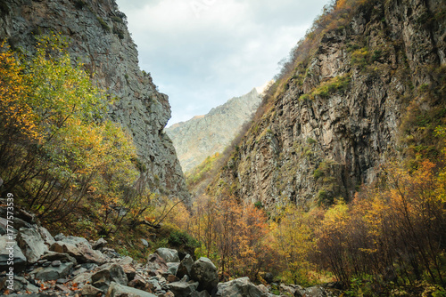 Fototapeta Rocky gorge in the Caucasus mountains during autumn, with vibrant trees and dramatic cliffs