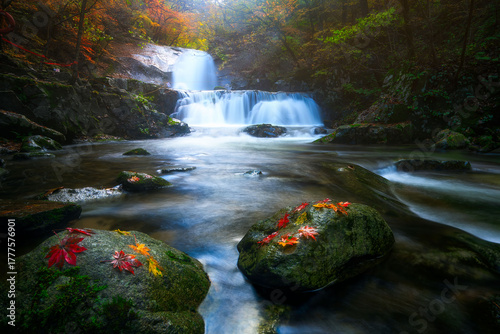 Beautiful autumn waterfall and changing leaves
Photo of a waterfall in Bangdong Valley, Bangtaesan Mountain, during autumn near Inje, South Korea.