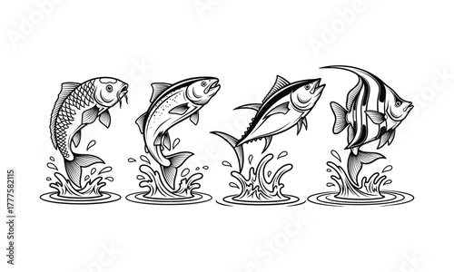 Four Types of Fish Leaping Out Of Water Drawing Outline Graphic