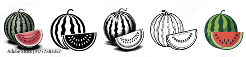 watermelon and slice set with color, vintage, silhouette and line art design, vector illustrations for summer fruit and healthy food