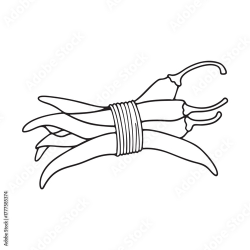 Bunch of dried chili peppers tied together with string