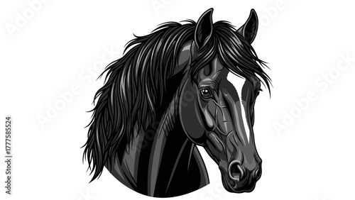 A black horse head with a white blaze on its face and mane