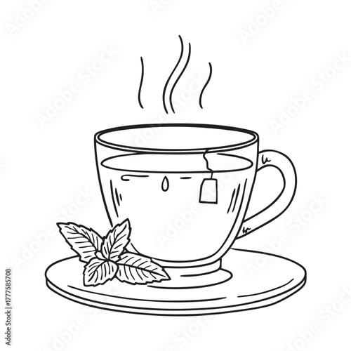 Glass cup containing hot mint tea with fresh sprigs inside