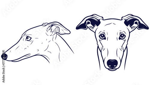 Greyhound Dog Front And Side Head Views, Black And White Line Art Dog Portrait Vector For Racing Breed Posters And Minimal Pet Art