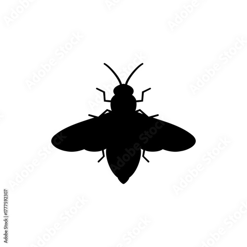 Insect firefly silhouette vector flat design on white background.