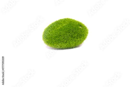 Light of grass and flowers: green stone