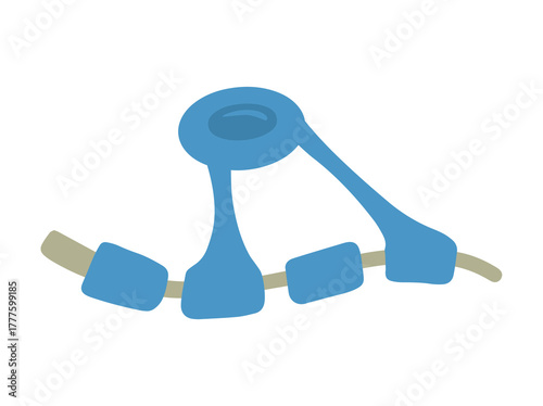 Oligodendrocytes Neuron Cell
