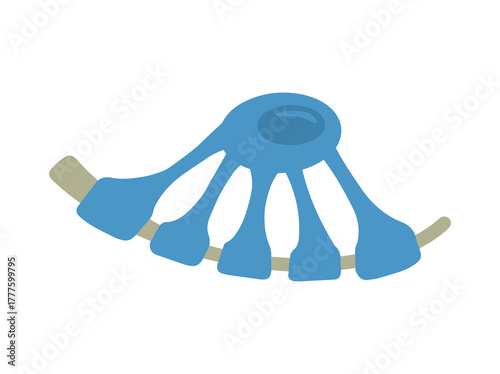 Oligodendrocytes Neuron Cell
