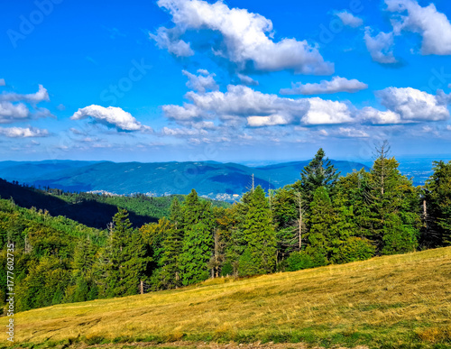 Fototapeta Naklejka Na Ścianę i Meble -  Beskides Mountains in Poland.