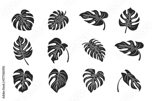 Monstera Leaf Silhouette Vector Set — Tropical Black Foliage Icons Collection