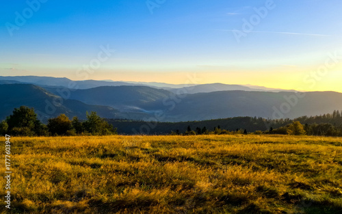 Meadow on a Blotnia Mountain. Beskides.