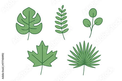 Various green tropical and temperate plant leaves in simple flat design style