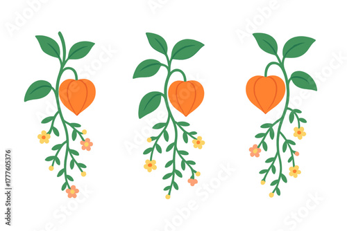 Three stylized Chinese Lantern plants with orange heart-shaped fruit and small flowers on green stems