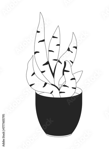 Sansevieria snake plant in black pot 2D line object. Dracaena trifasciata potted, mother in laws tongue houseplant flowerpot isolated clipart vector ink outline item. Monochrome spot illustration