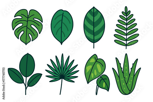 Collection of exotic tropical houseplant leaves and green foliage elements isolated on white